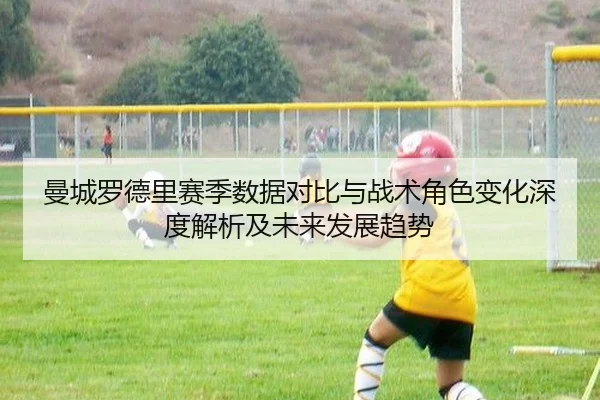 曼城罗德里赛季数据对比与战术角色变化深度解析及未来发展趋势
