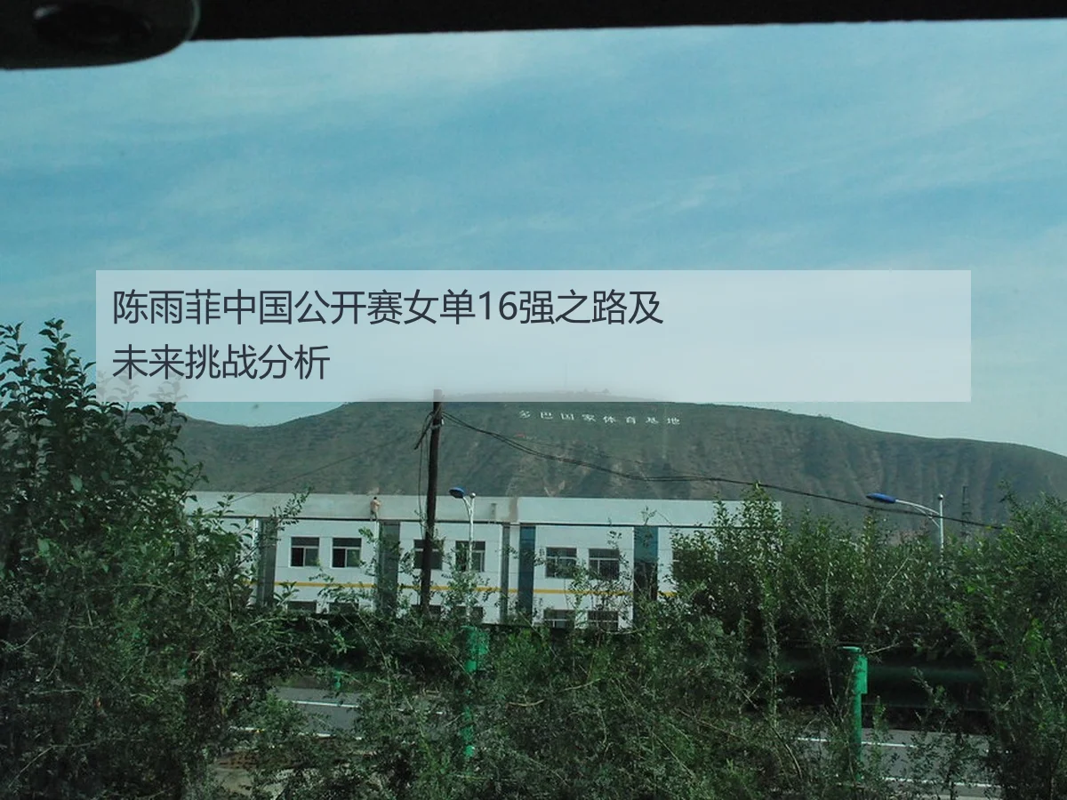 陈雨菲中国公开赛女单16强之路及未来挑战分析